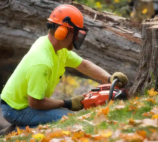 tree services Au Gres